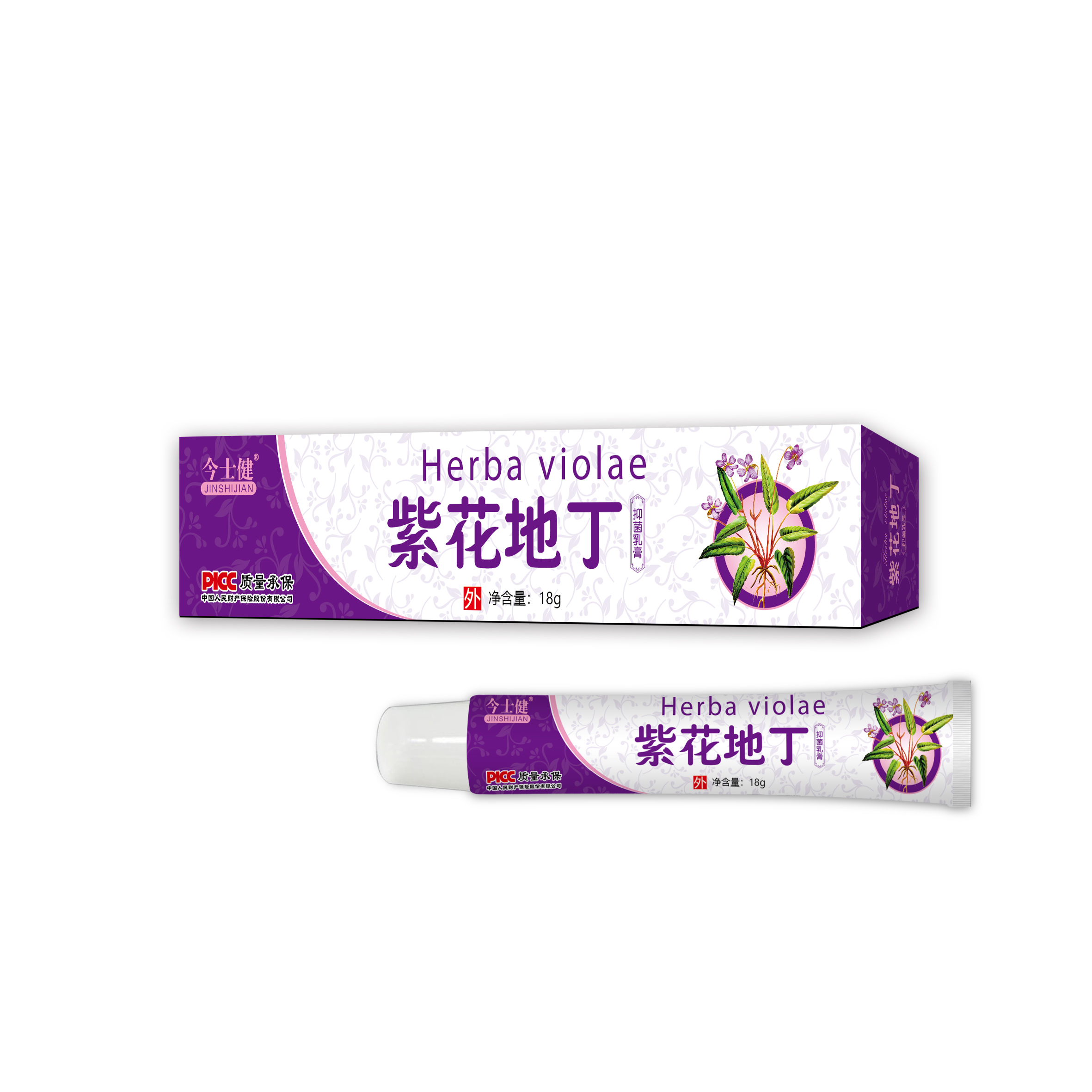 紫花地丁